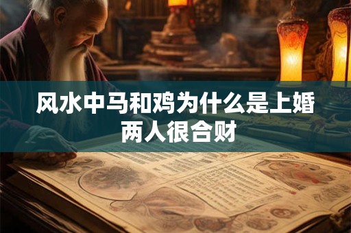 风水中马和鸡为什么是上婚 两人很合财
