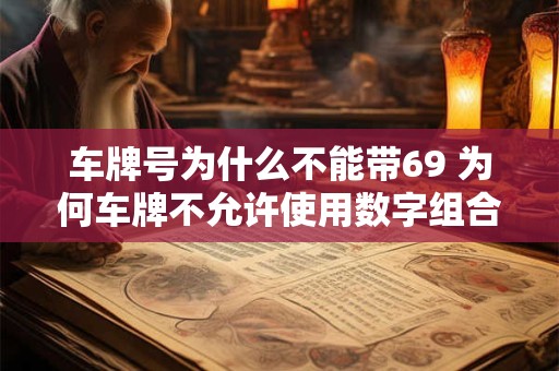 车牌号为什么不能带69 为何车牌不允许使用数字组合69