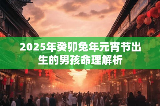 2025年癸卯兔年元宵节出生的男孩命理解析