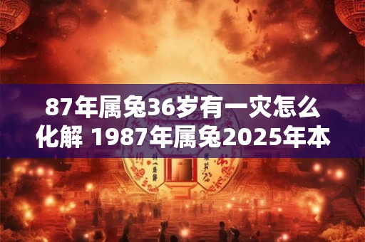 87年属兔36岁有一灾怎么化解 1987年属兔2025年本命年命运如何