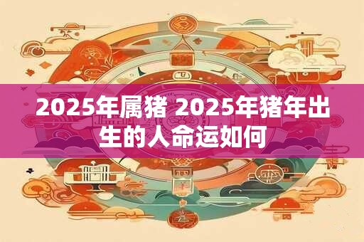 2025年属猪 2025年猪年出生的人命运如何