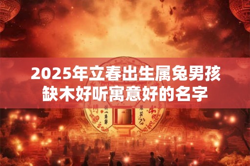 2025年立春出生属兔男孩缺木好听寓意好的名字