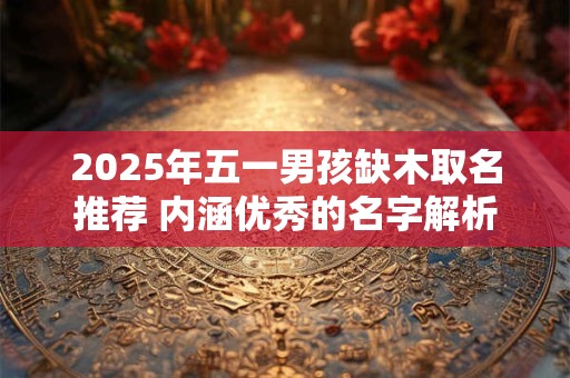 2025年五一男孩缺木取名推荐 内涵优秀的名字解析
