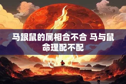 马跟鼠的属相合不合 马与鼠命理配不配