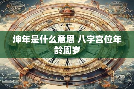 坤年是什么意思 八字宫位年龄周岁