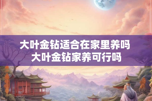 大叶金钻适合在家里养吗 大叶金钻家养可行吗