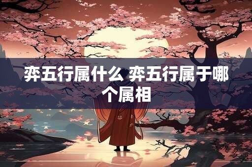弈五行属什么 弈五行属于哪个属相