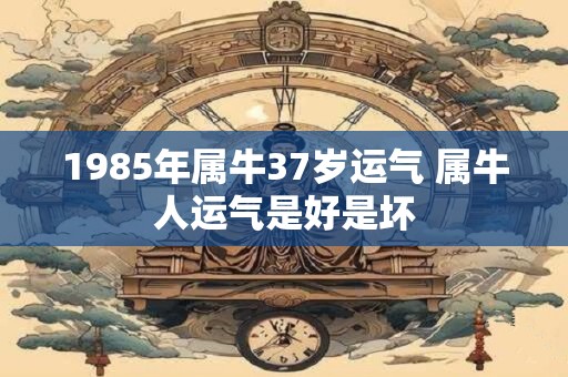 1985年属牛37岁运气 属牛人运气是好是坏