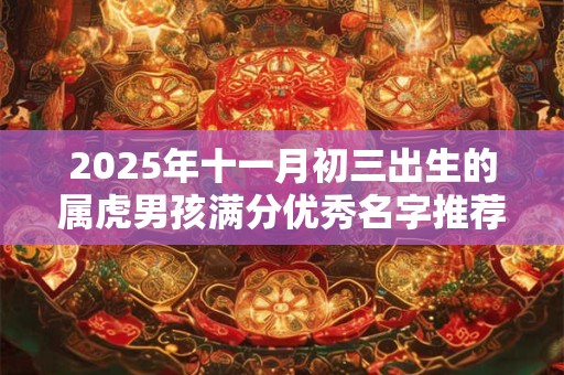 2025年十一月初三出生的属虎男孩满分优秀名字推荐