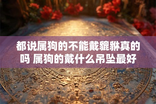 都说属狗的不能戴貔貅真的吗 属狗的戴什么吊坠最好