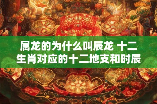 属龙的为什么叫辰龙 十二生肖对应的十二地支和时辰