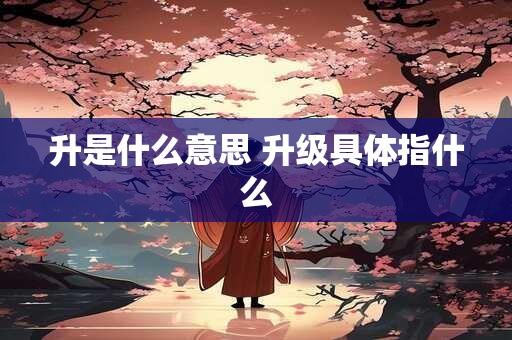 升是什么意思 升级具体指什么
