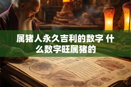 属猪人永久吉利的数字 什么数字旺属猪的