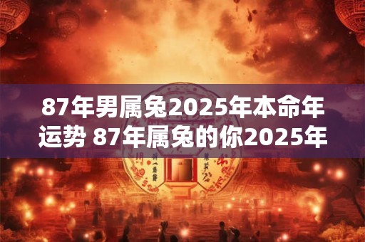 87年男属兔2025年本命年运势 87年属兔的你2025年本命年会有怎样的运势