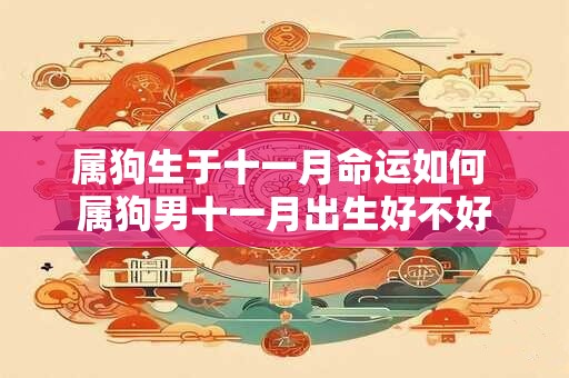 属狗生于十一月命运如何 属狗男十一月出生好不好