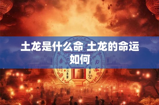 土龙是什么命 土龙的命运如何