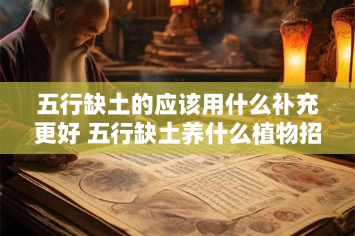 五行缺土的应该用什么补充更好 五行缺土养什么植物招财