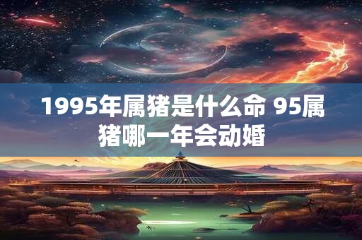 1995年属猪是什么命 95属猪哪一年会动婚