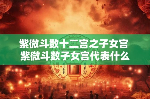 紫微斗数十二宫之子女宫 紫微斗数子女宫代表什么