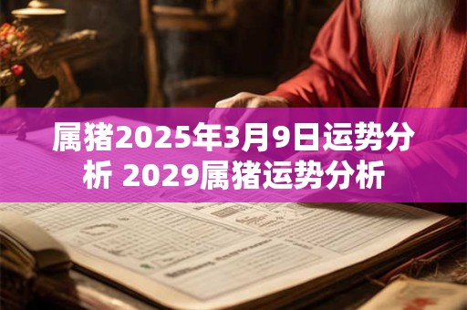 属猪2025年3月9日运势分析 2029属猪运势分析
