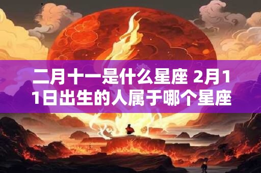 二月十一是什么星座 2月11日出生的人属于哪个星座