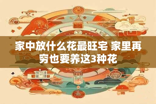 家中放什么花最旺宅 家里再穷也要养这3种花