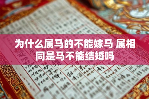 为什么属马的不能嫁马 属相同是马不能结婚吗