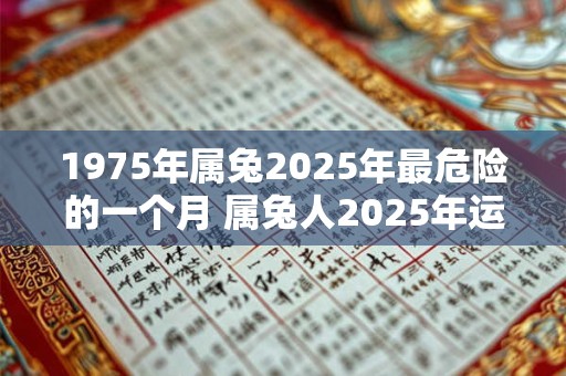 1975年属兔2025年最危险的一个月 属兔人2025年运势如何