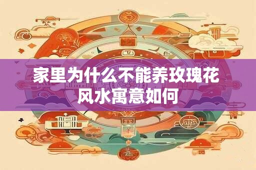 家里为什么不能养玫瑰花 风水寓意如何