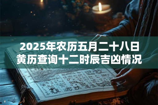 2025年农历五月二十八日黄历查询十二时辰吉凶情况