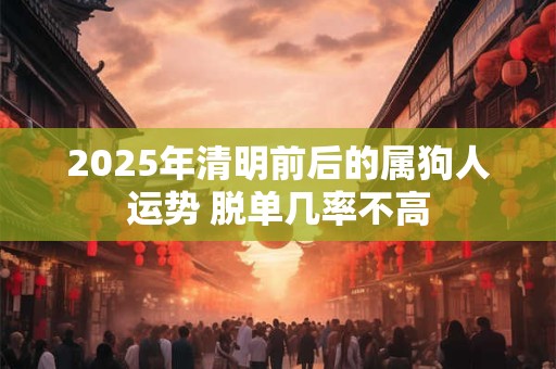 2025年清明前后的属狗人运势 脱单几率不高