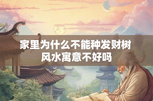 家里为什么不能种发财树 风水寓意不好吗