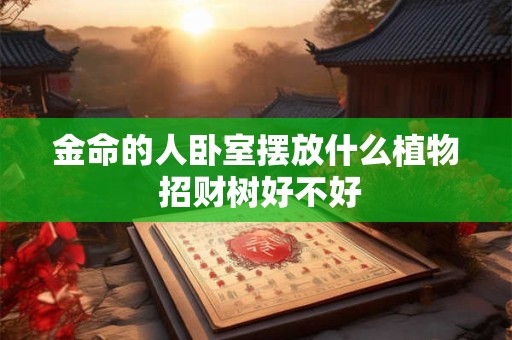 金命的人卧室摆放什么植物 招财树好不好
