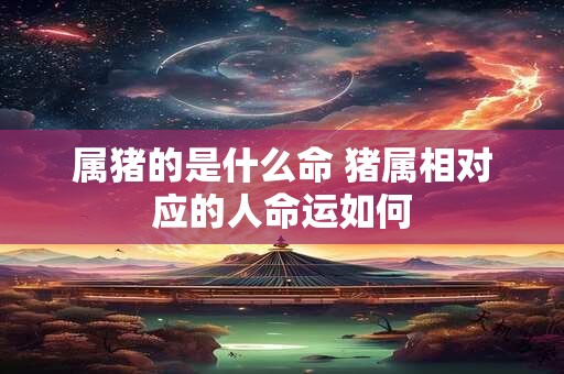 属猪的是什么命 猪属相对应的人命运如何