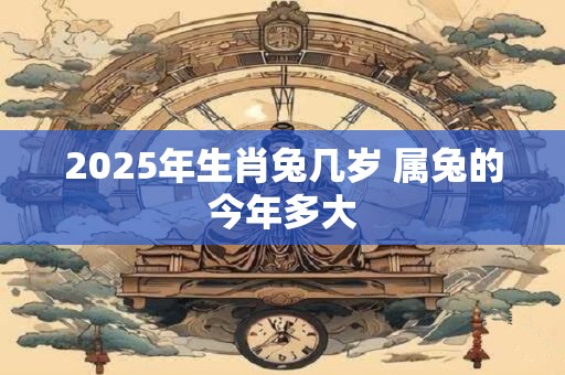 2025年生肖兔几岁 属兔的今年多大