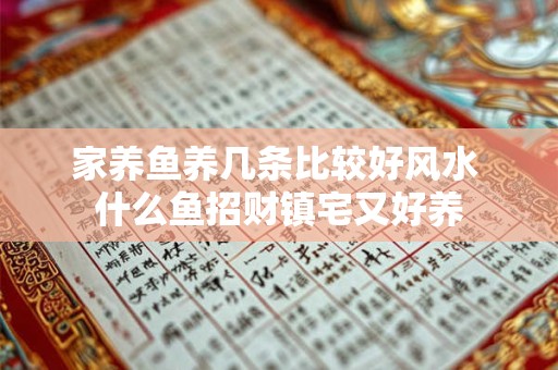 家养鱼养几条比较好风水 什么鱼招财镇宅又好养