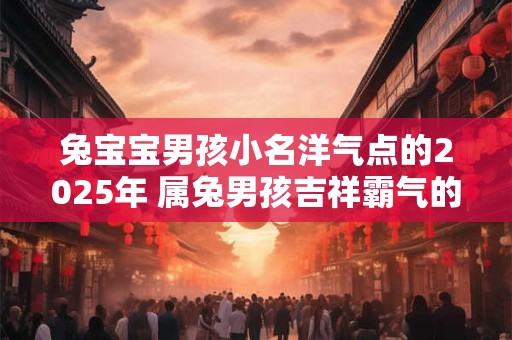 兔宝宝男孩小名洋气点的2025年 属兔男孩吉祥霸气的名字