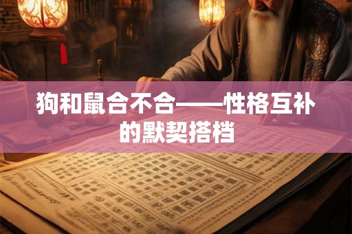 狗和鼠合不合——性格互补的默契搭档