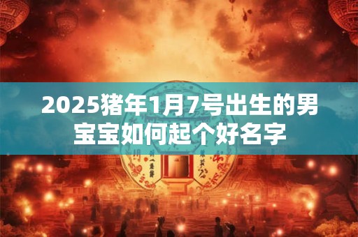 2025猪年1月7号出生的男宝宝如何起个好名字