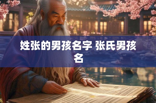 姓张的男孩名字 张氏男孩名