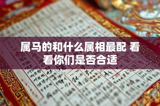 属马的和什么属相最配 看看你们是否合适