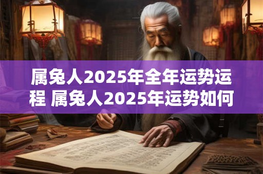 属兔人2025年全年运势运程 属兔人2025年运势如何