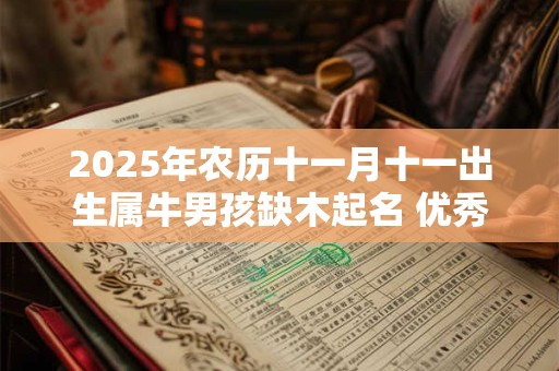 2025年农历十一月十一出生属牛男孩缺木起名 优秀不一般男孩名