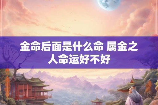 金命后面是什么命 属金之人命运好不好