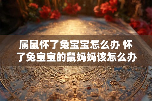 属鼠怀了兔宝宝怎么办 怀了兔宝宝的鼠妈妈该怎么办