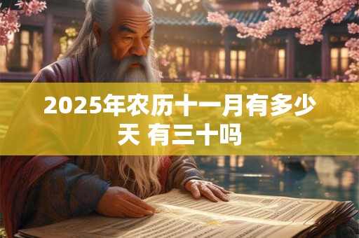 2026年农历十一月有多少天 有三十吗 2026年农历十一月有多少天 有三十吗