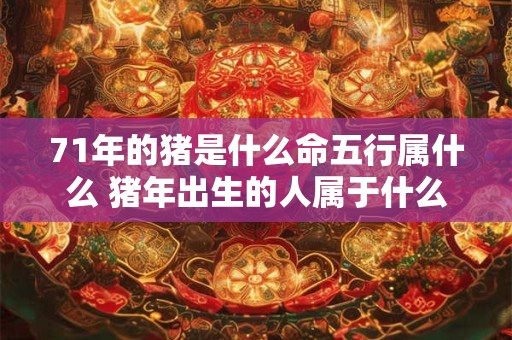 71年的猪是什么命五行属什么 猪年出生的人属于什么五行
