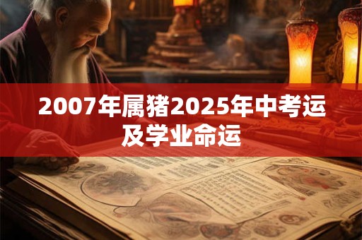 2007年属猪2025年中考运及学业命运