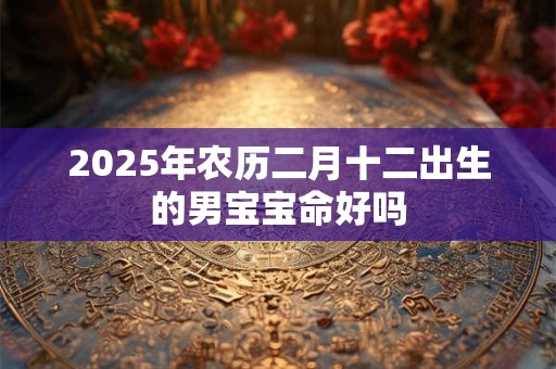 2025年农历二月十二出生的男宝宝命好吗