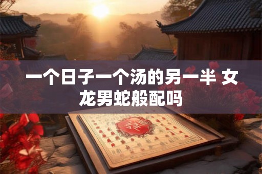 一个日子一个汤的另一半 女龙男蛇般配吗
